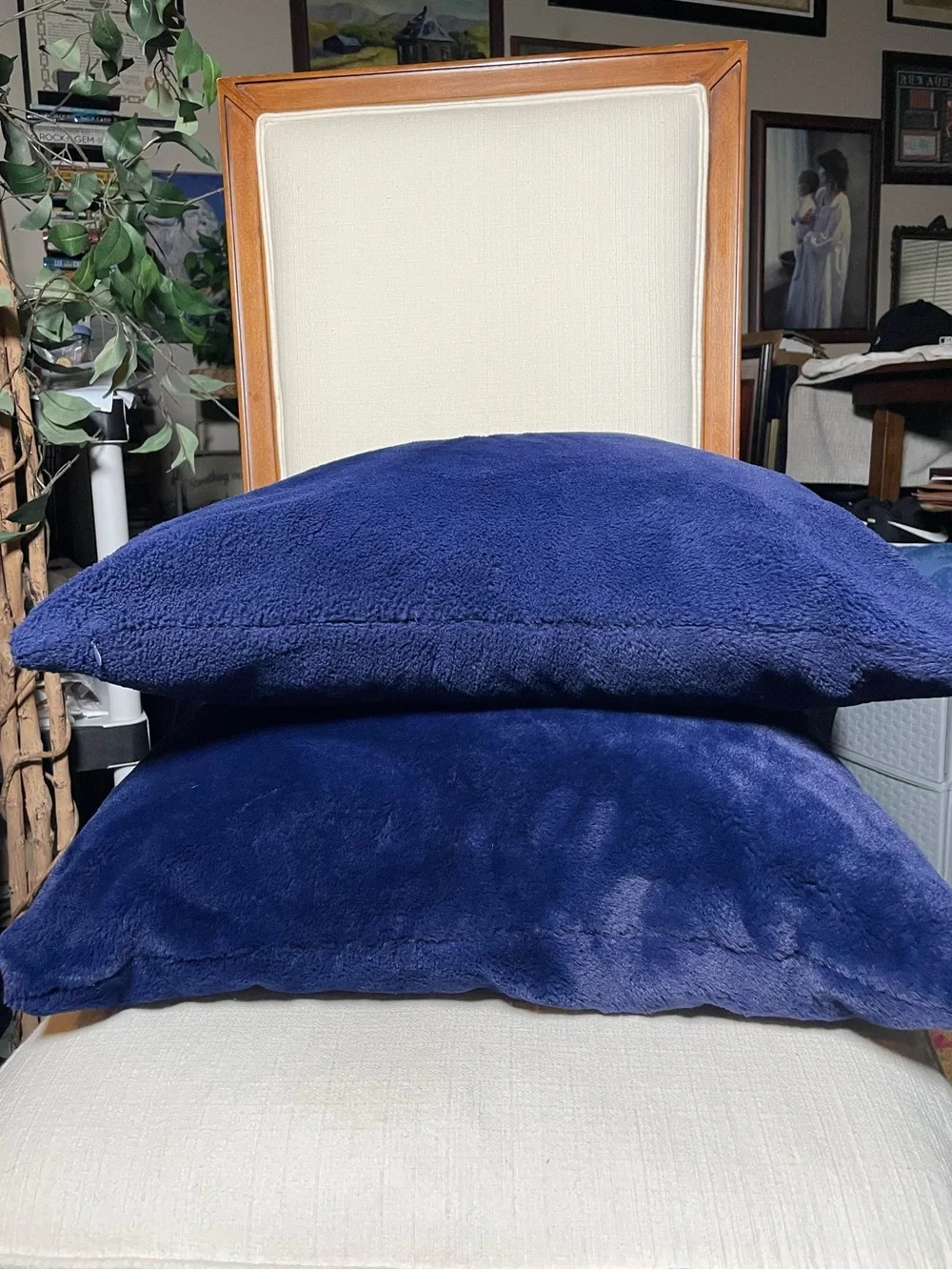 Royal Blue Velvety Soft 22” Throw Pillows - Set of 2